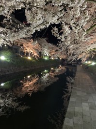 ４月になりました！